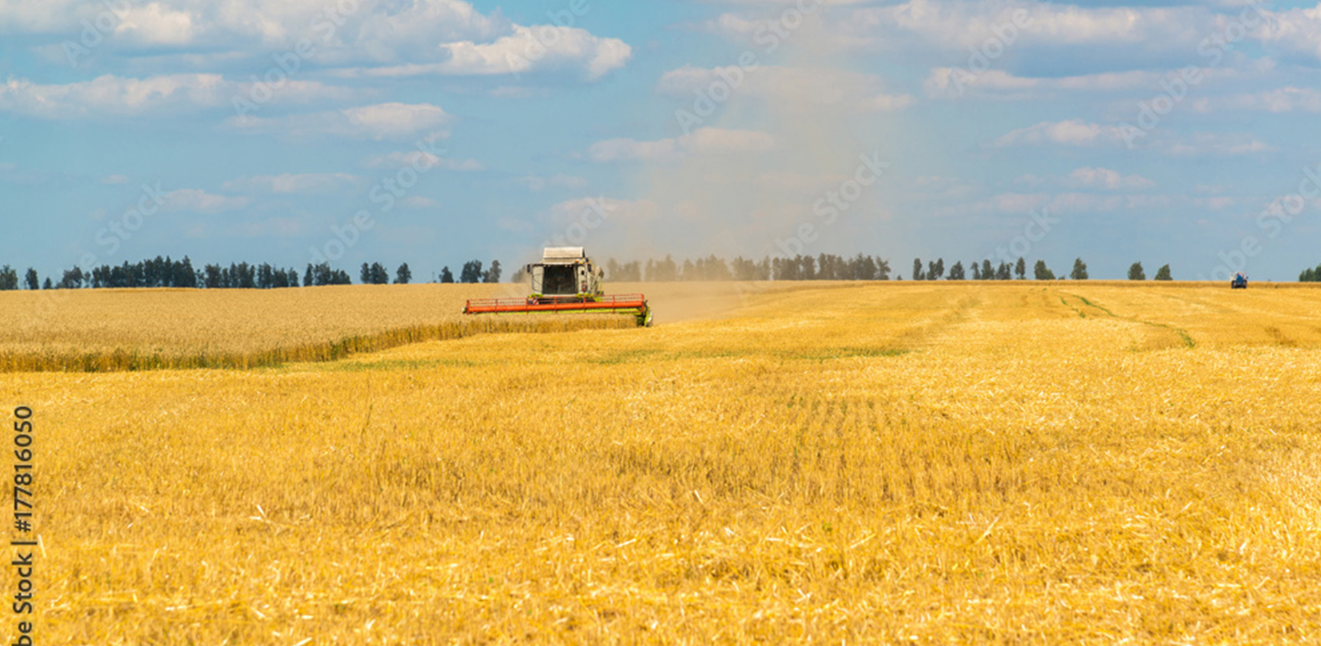 公司产品展示图